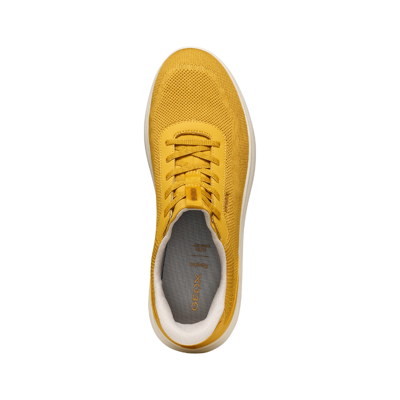 SPHERICA PLUS FAST IN YELLOW U55MPA