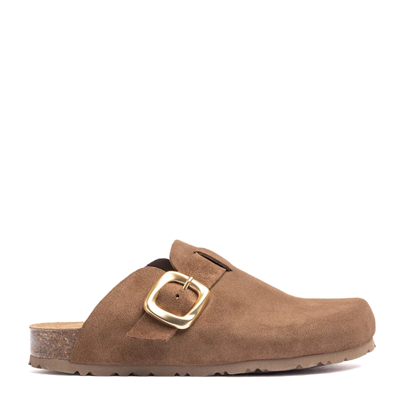 ZUECO BIO MUSHROOM ZUECO650