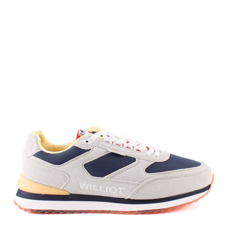 GOLDEN RETRIEVER GRIS