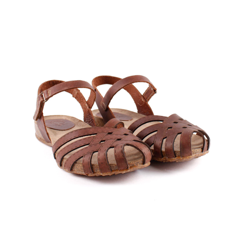 CANGREJERA BIO OURS 4479