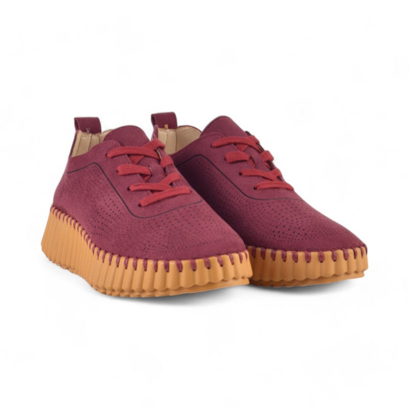 SNEAKER PICADO CORDON VINO AH-9634