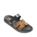 BIO PALA H LEOPARDO MORENA125