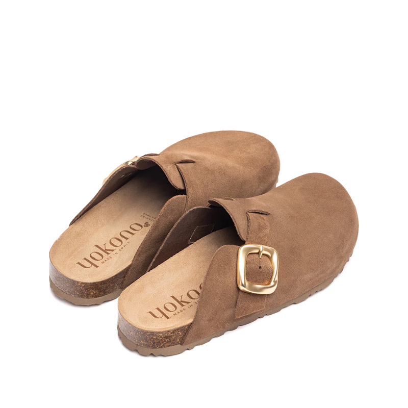 ZUECO BIO MUSHROOM ZUECO650