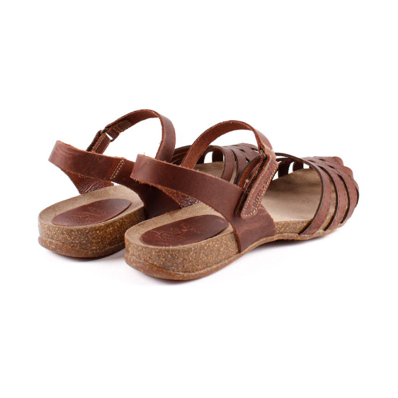 CANGREJERA BIO OURS 4479